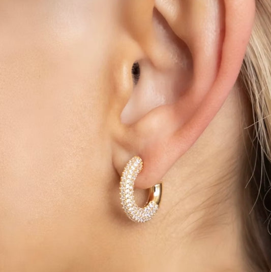 Audrey Pave Hoop
